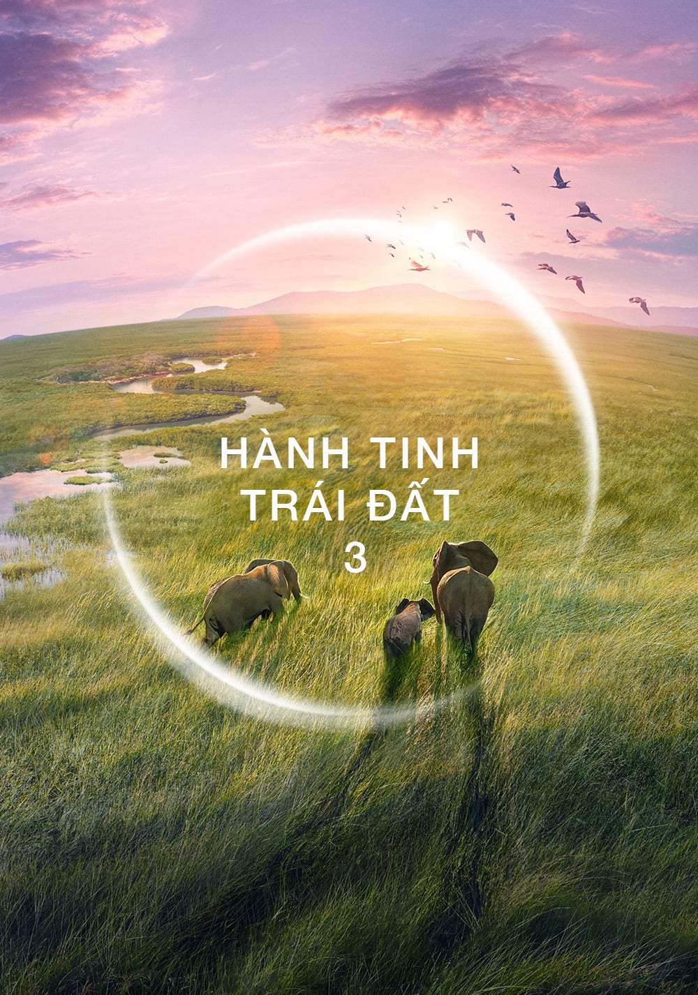 Hành Tinh Trái Đất 3