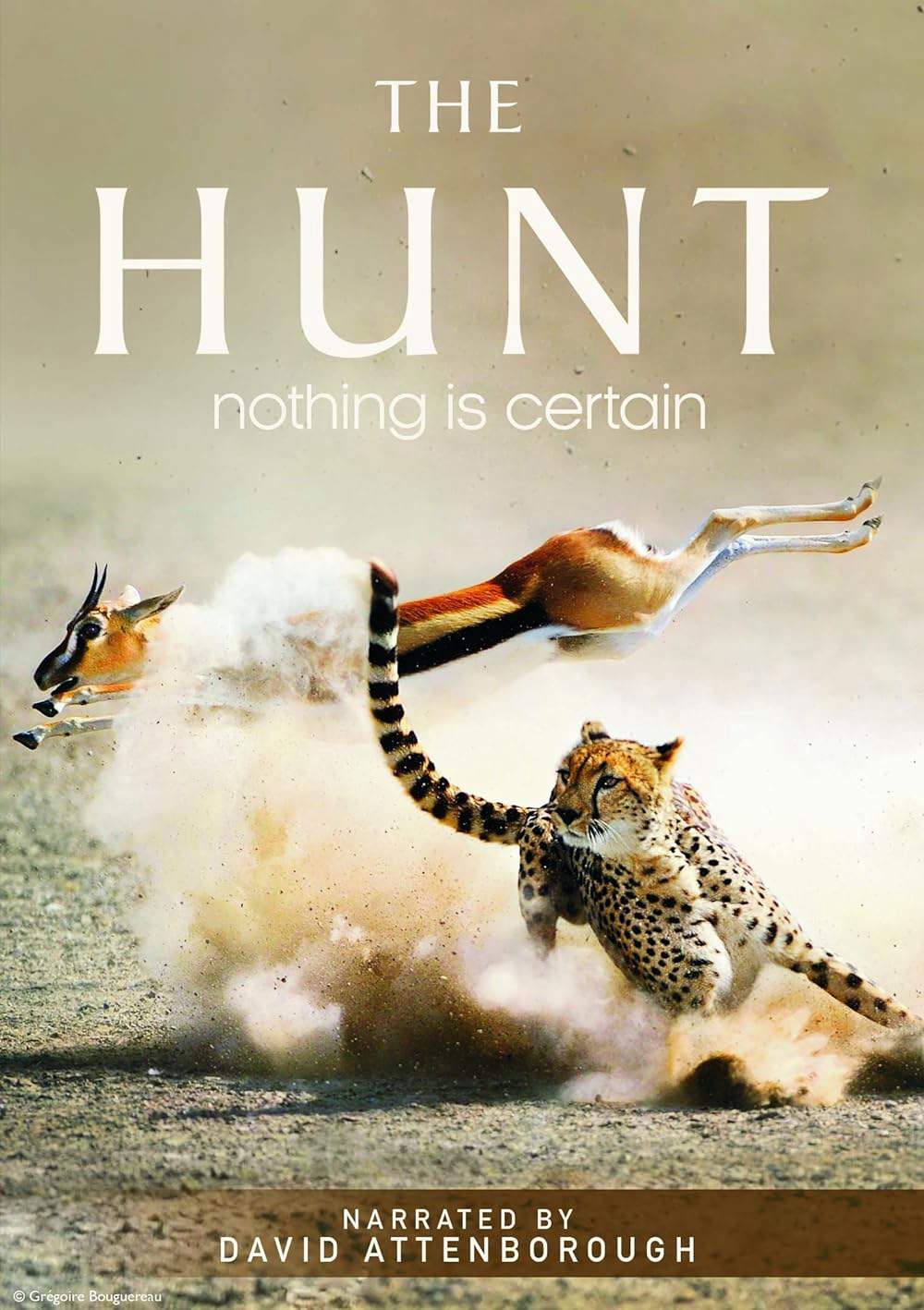 The Hunt